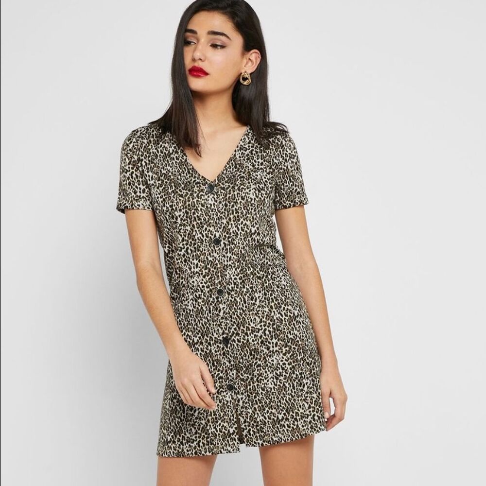 Mango Leopard Print Mini Dress